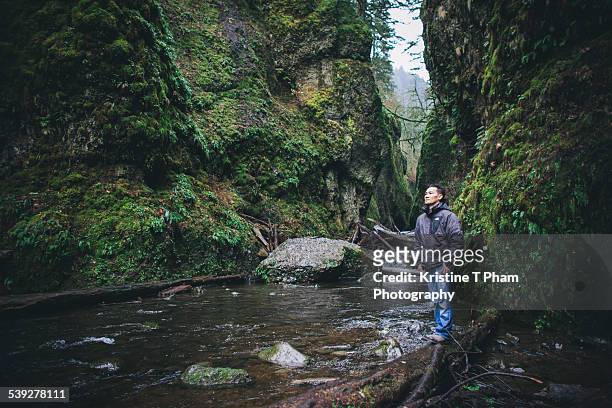 another world - oneonta gorge stock pictures, royalty-free photos & images