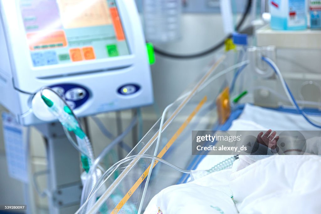 Bebê deitado em ninhos para os recém-nascidos