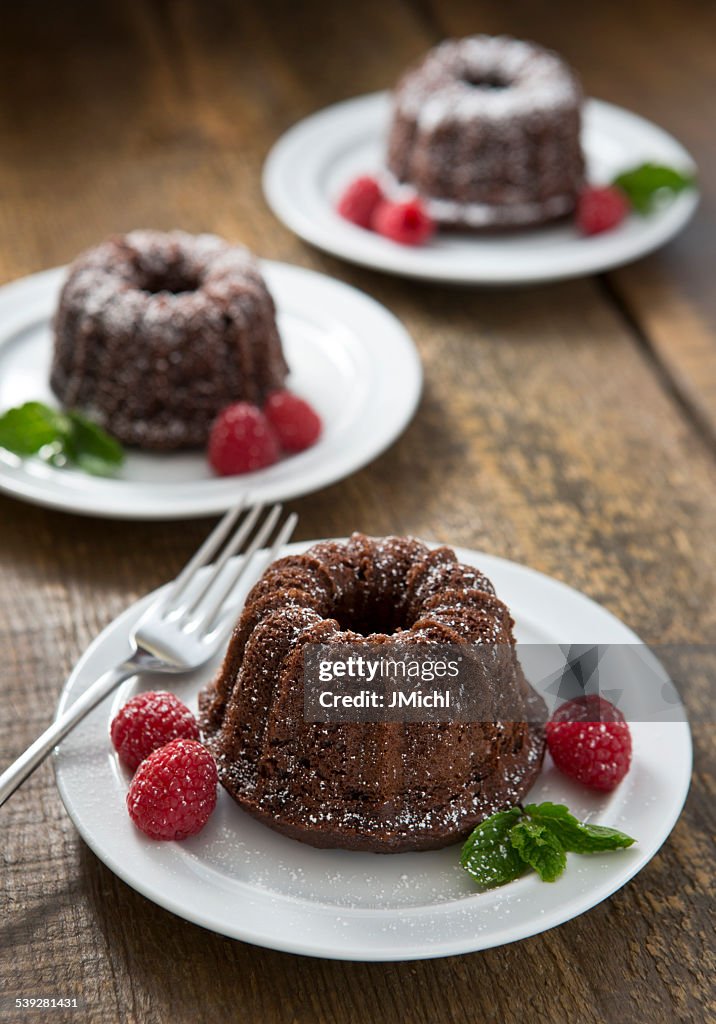 Mini Chocolate Bundt Cakes with Raspberries and Fresh Mint.