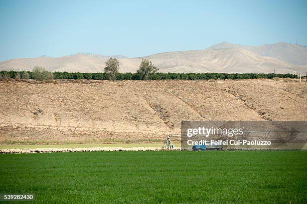 irrigation sprinkler at arvin of california state usa - arvin foto e immagini stock