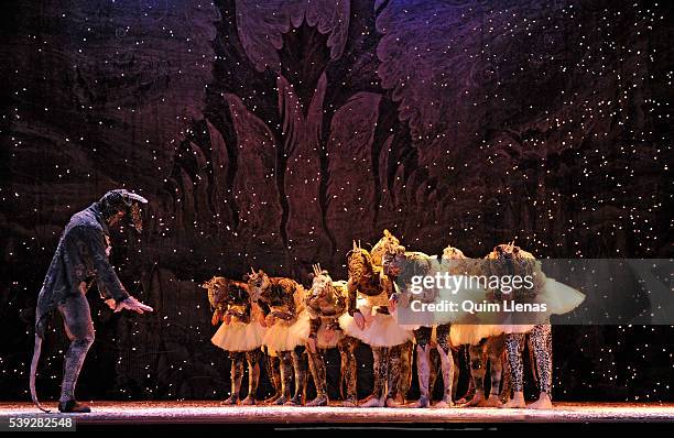 The dancers of the Kiev Modern Ballet perform during the dress rehearsal of a new choreography of the classic ballet 'El cascanueces' by Radu...