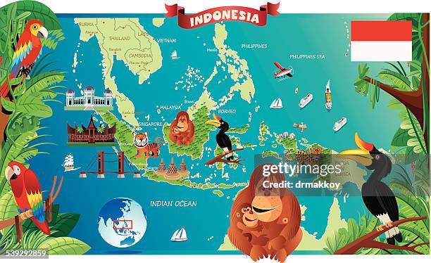 cartoon map of indonesia - kalimantan stock illustrations