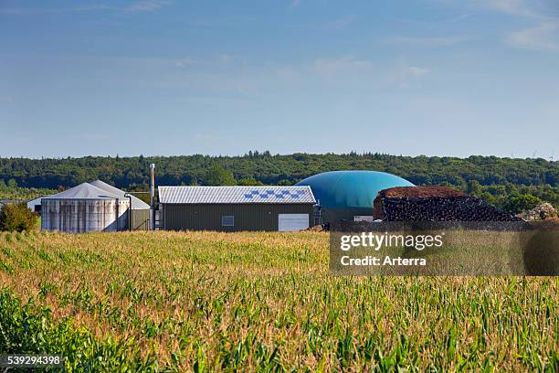 Farm-based maize silage anaerobic digester plant for producing biofuel, Germany.