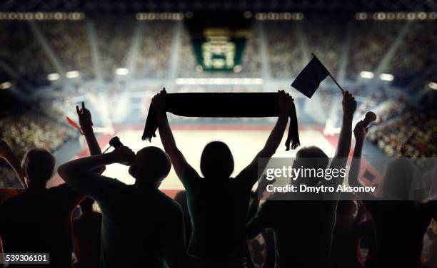 hockey fans at stadium - hockey season celebration stock pictures, royalty-free photos & images