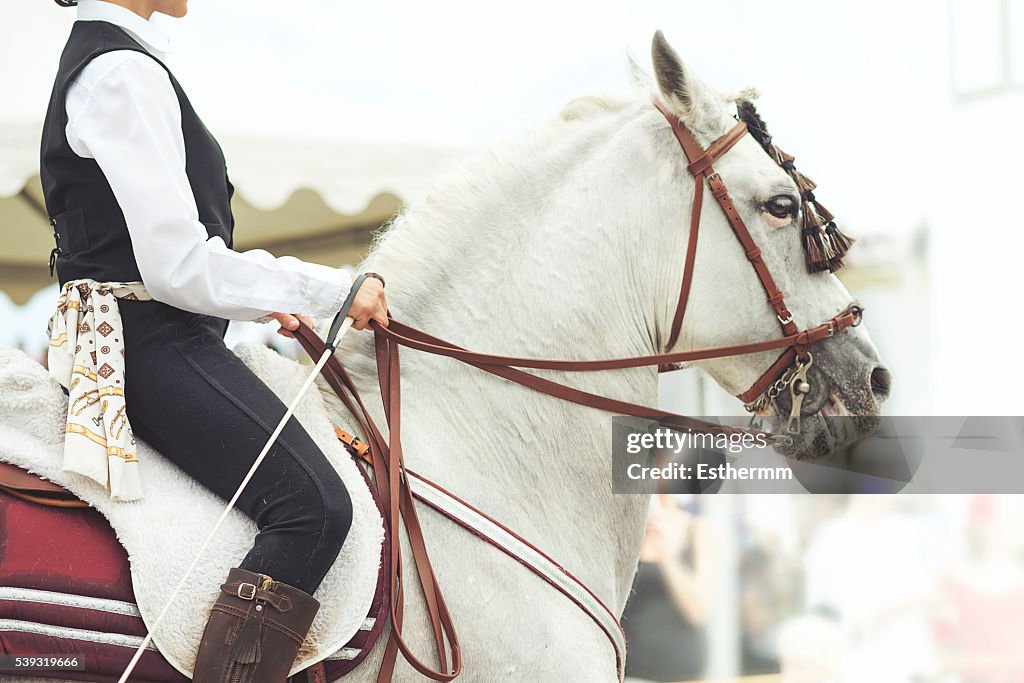 Andalusia, Spain, Detail of womans traditional clothes during Feria de Abril