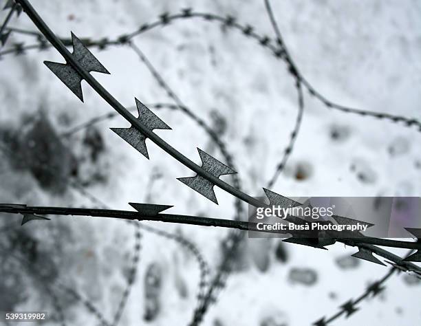 detail of barbed wire with snow in the background - holocaust stockfoto's en -beelden