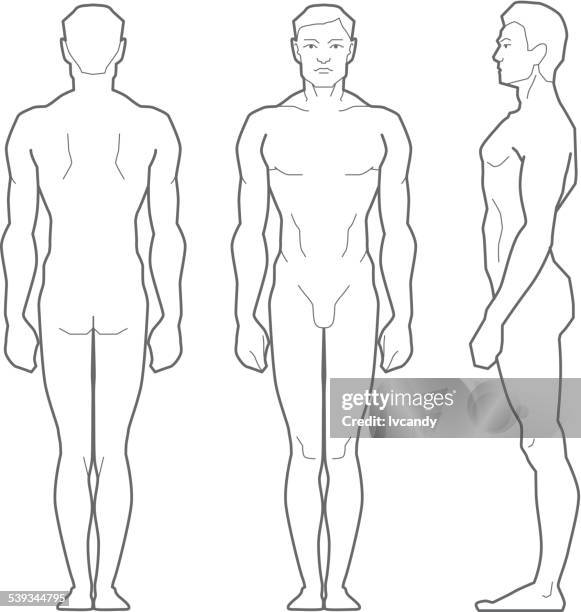 Body Frant Human Body Outline Front Back High Res Vector Graphics - Getty Images