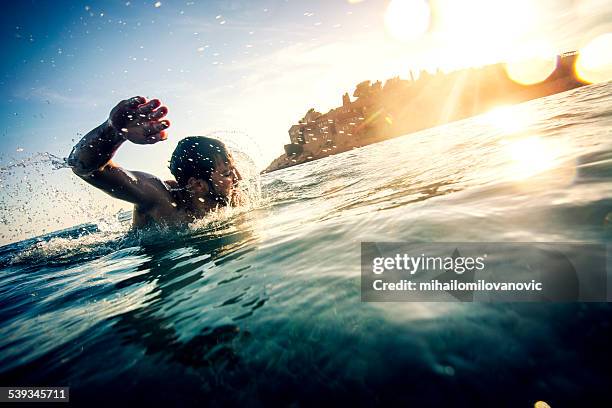 swimming - sea swimming stockfoto's en -beelden