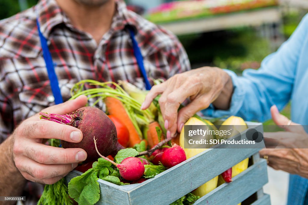 Frisches Gemüse Verkauf im Bauernmarkt