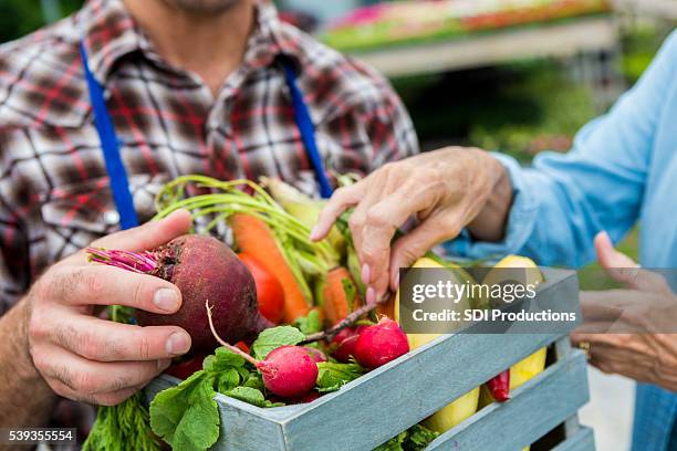 fresh vegetables being sold at farmers market - bondemarknad kommersiellt evenemang bildbanksfoton och bilder