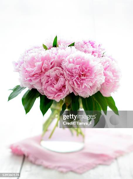 pink peony - paeonia suffruticosa stock pictures, royalty-free photos & images