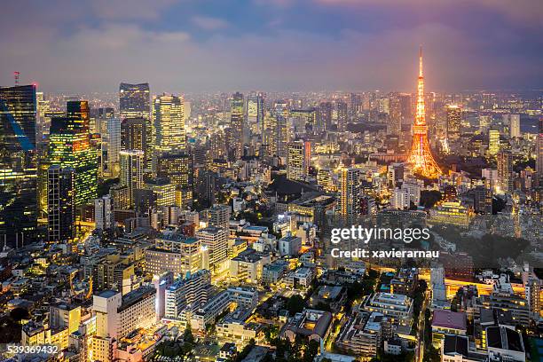tokyo skyline at dusk - baai-van-tokio stockfoto's en -beelden
