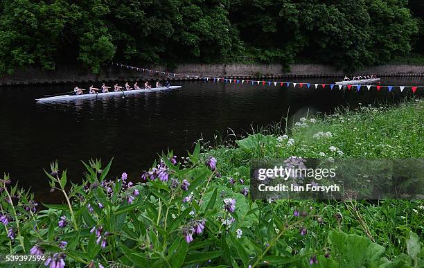 Rowers from across the country take part in the 183rd annual regatta on the River Wear on June 11, 2016 in Durham, England. The present regatta dates...