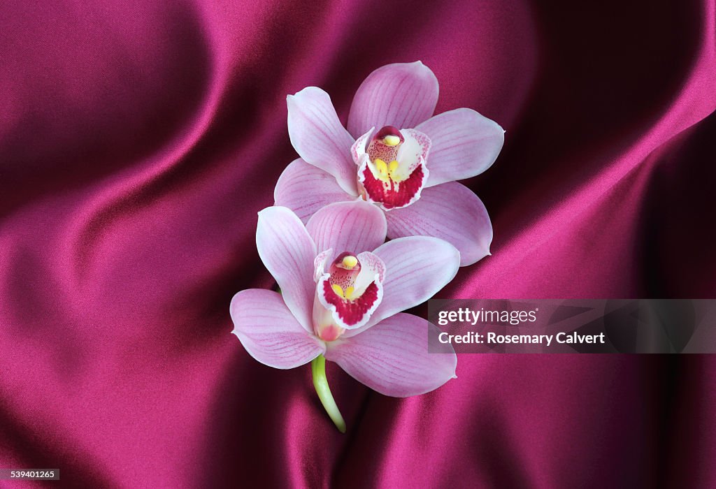 Fucshia pink satin with pink orchids