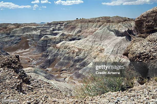 Eroded rocks of the Blue Mesa badlands, made of conglomerates, layers of pebbles and stones cemented into the ground, Painted Desert and Petrified...