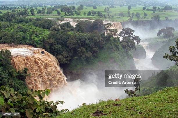 The Blue Nile Falls / Tis Abay / Tis Issat near Bahar Dar, Ethiopia, East Africa.