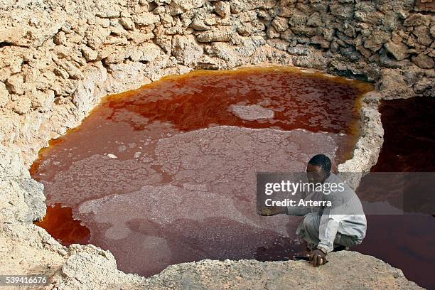 Exploiting salt in natron salt pans / balma in the Sahara desert at the oasis town Bilma, Niger, Western Africa.