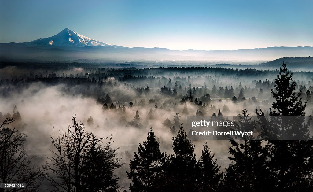 Fog in the Valley