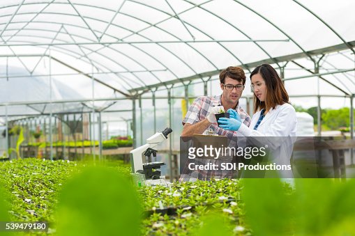 Biologists working together in a greenhouse