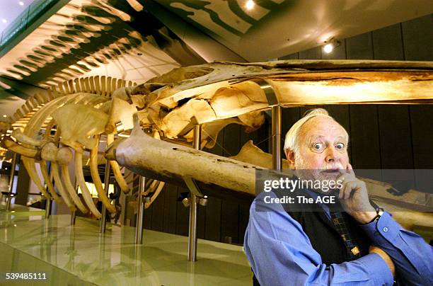 Bernie Ryan 69 Blue Whale Australia Stock Photos, High-Res Pictures, and Images ...