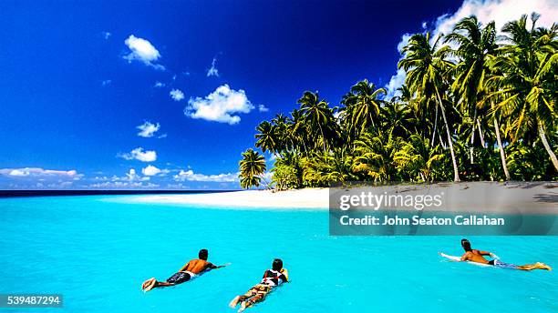 surfers in the mentawai islands - indonesia sumatra mentawai stock pictures, royalty-free photos & images