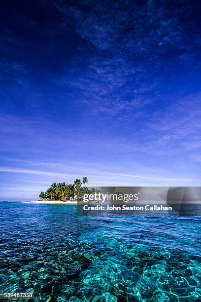 tropical island - ilhas mentawai imagens e fotografias de stock