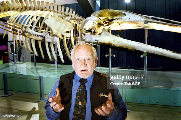 Bernie Ryan 69 Blue Whale Australia Stock Photos, High-Res Pictures, and Images ...
