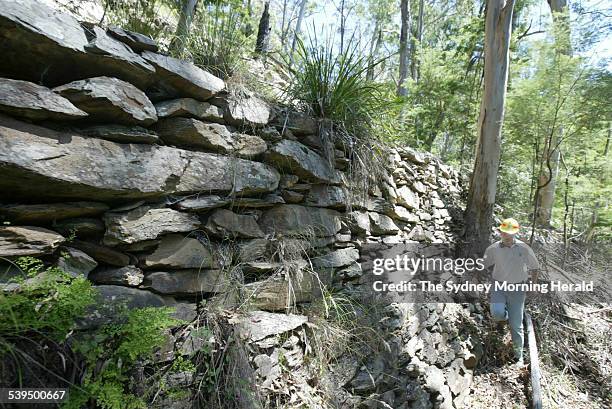 Forester with Forest NSW David de Jongh pictured with a section of a dry stone wall along the Old Buckenbowra River Road in the Bolaro State Forest...