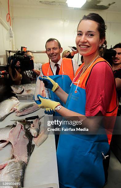 Election campaign. Opposition Leader Tony Abbott with his daughter, Louise. The pair fillets a barramundi at the Mackay Fish Market in Mackay in...