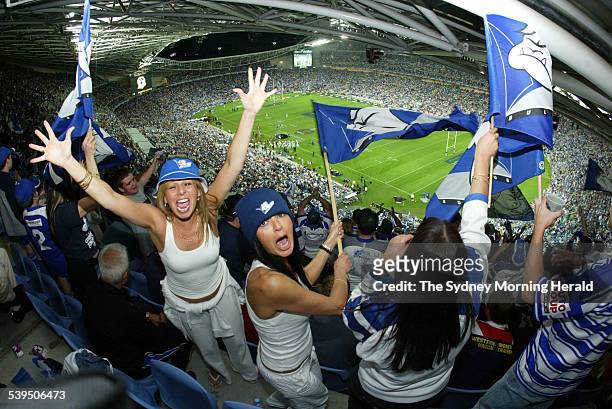 Bulldogs supporters at the Grand Final between the Sydney Roosters and the Canterbury Bankstown Bulldogs at Telstra Stadium on 3 October 2004. SMH...