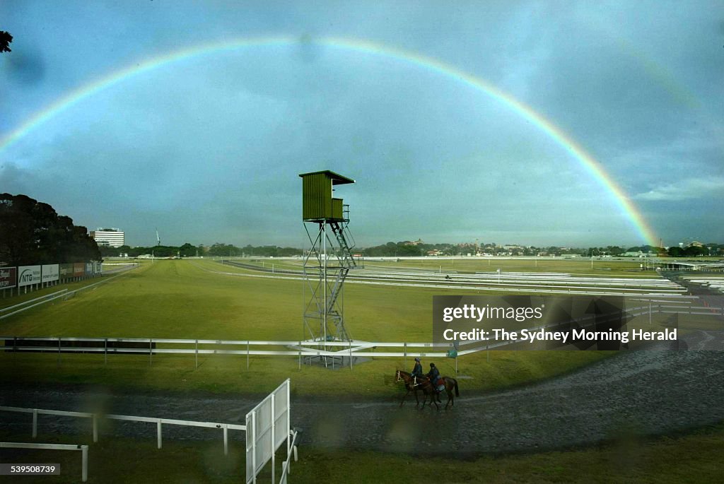Randwick Race Course. The horses return to their stables after early ...