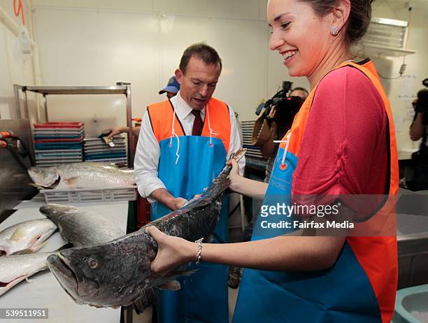 Election campaign. Opposition Leader Tony Abbott with his daughter, Louise. The pair fillets a barramundi at the Mackay Fish Market in Mackay in...