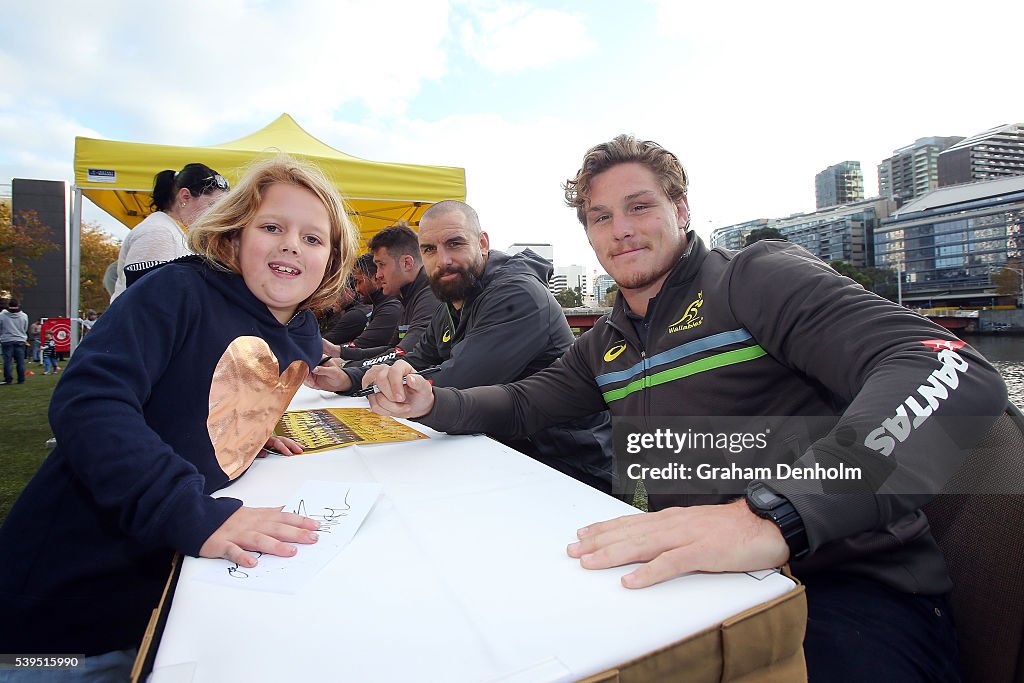 Wallabies Fan Day