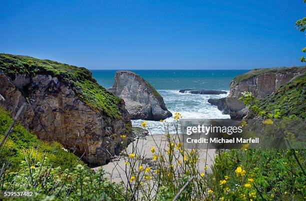 shark tooth cove - davenport california stock pictures, royalty-free photos & images