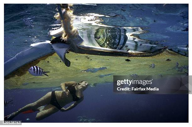 Snorkler swims under the shade cloth which has been placed over coral on the Agincourt number three reef from the Quicksilver Eight pontoon on the...