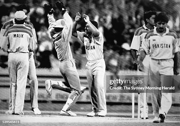 Cricket World Cup Final, Melbourne. England vs Pakistan. Botham out, 25 March 1992. SMH Picture by CRAIG GOLDING