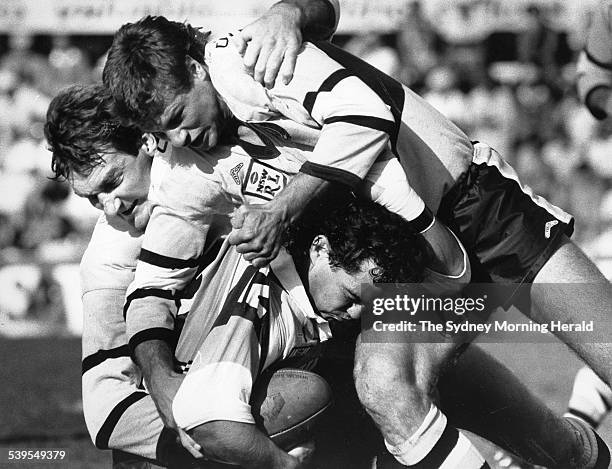 Rugby League. Cronulla v Broncos at Caltex Field, Cronulla. Picture shows Andrew Ettingshausen, 23 April 1988. SMH Picture by CRAIG GOLDING