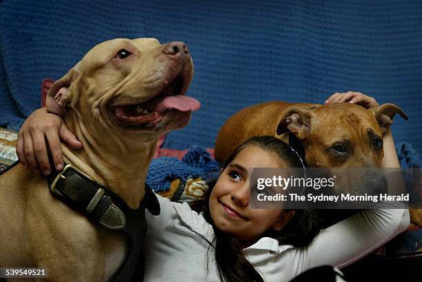 Heidi with pure bred pitbull terriers Rex, left and Scar, right at her Leichhardt home, Sydney. Story about the government's ban of the breeding and...