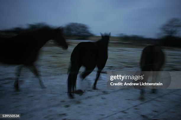 42 Joshua Ware Stock Photos, High-Res Pictures, and Images - Getty Images