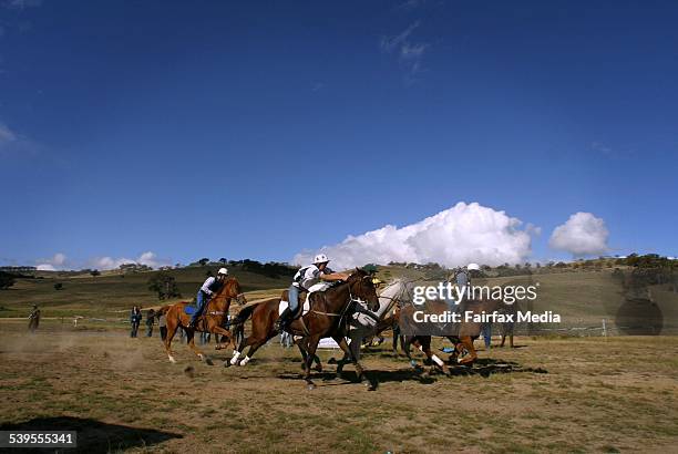 Lancefield Mountain Races. The start of the 3.7km Veterans Race 5th March 2005. AGE NEWS Picture by NICOLE EMANUEL