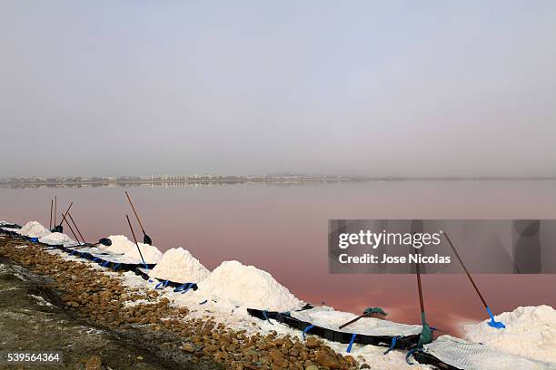 salt harvest in camargue - salt marsh stock pictures, royalty-free photos & images