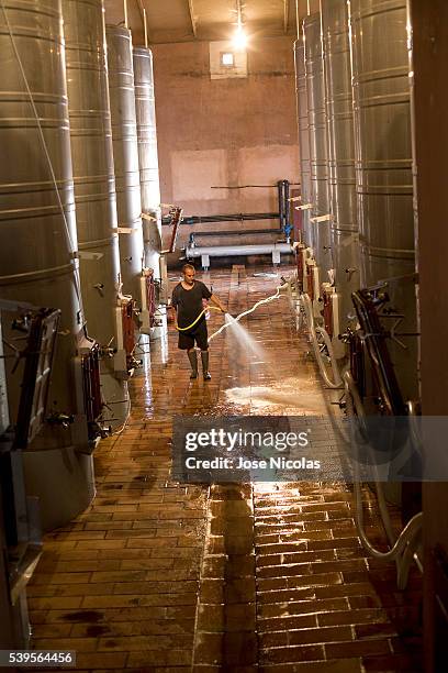 grape-harvest in south of france - bandol photos et images de collection