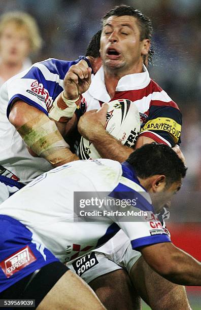 Luke Ricketson Body 216 Luke Ricketson Roosters Stock Photos, High-Res Pictures, and Images ...