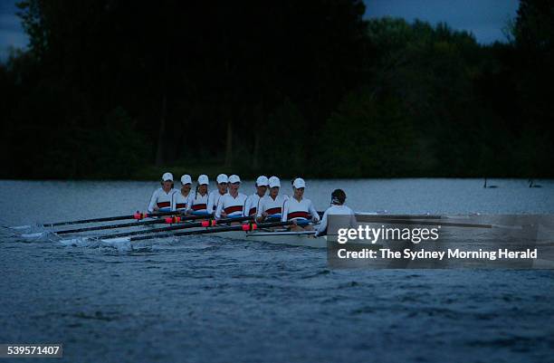 249 Australian Rowing Training Session Stock Photos, High-Res Pictures ...