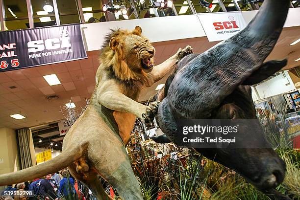 Taxidermied animals. The Safari Hunters Club convention 2004 held in Reno, Nevada. The annual event features the latest in hunting including guns,...