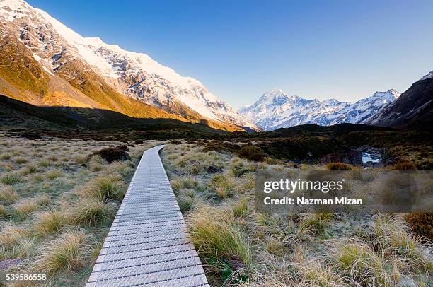 wooden pathway provided for hikers to access the national park. - new zealand snow stock-fotos und bilder