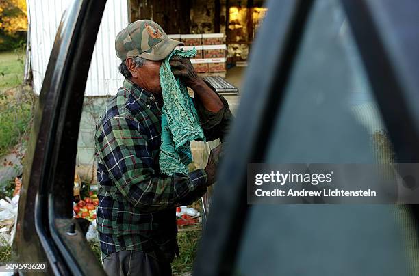 One of the few Mexican farm workers to harvest the crop wipes his face after an exhausting day in the fields. On the Jenkins farm on Chandler...