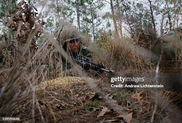 Florida Ranger Phase 81 Us Army Ranger School Stock Photos, High-Res Pictures, and Images ...