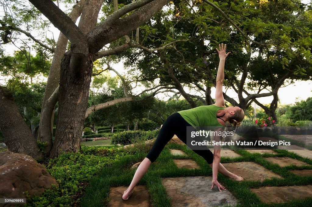 Woman In A Yoga Pose Stretching On Tiles By A Tree