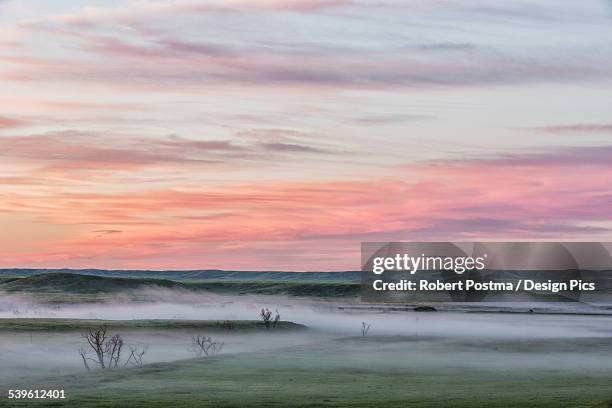 sunrise and fog in grasslands national park - グラスランズ国立公園 ストックフォトと画像